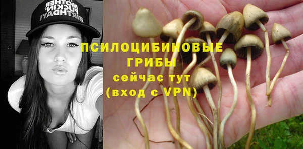 стаф Усинск