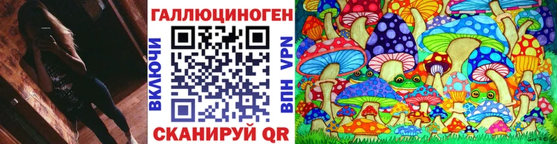 Купить закладки  Мценск  Галлюциногенные грибы GOLDEN TEACHER 