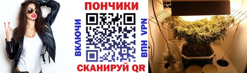 Купить где  Мценск  Бошки Шишки THC 21% 